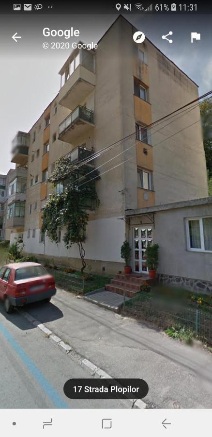 Florin Apartament ซิวิโชอารา ภายนอก รูปภาพ