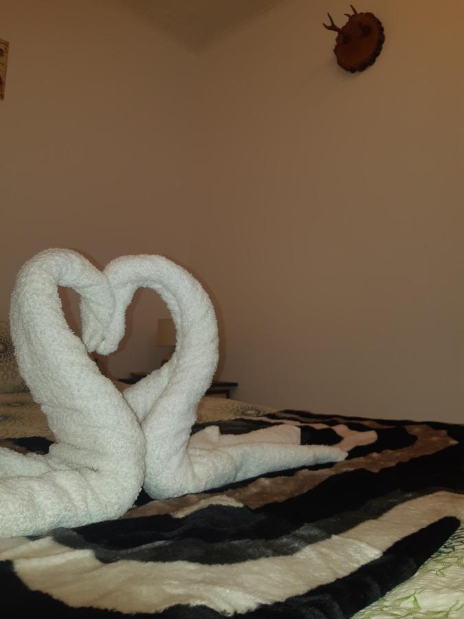 Florin Apartament ซิวิโชอารา ภายนอก รูปภาพ