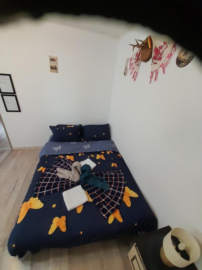 Florin Apartament ซิวิโชอารา ภายนอก รูปภาพ